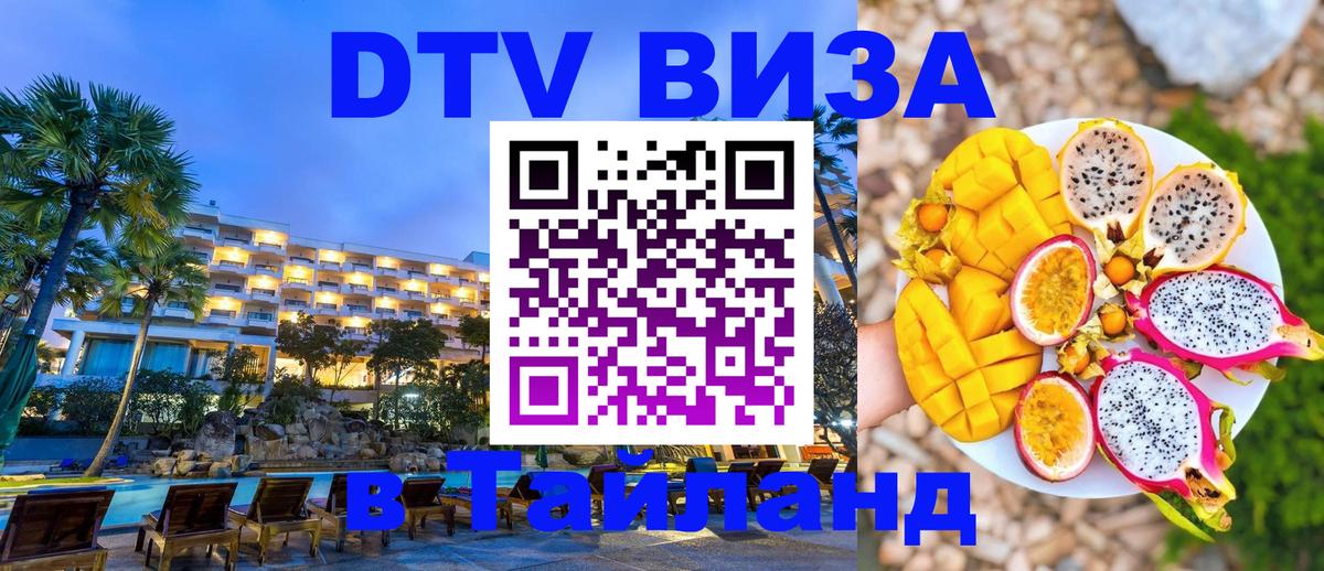 Оформление DTV визы под ключ: стоимость и тарифы, только загранпаспорт - Иваново  18.11.2025 